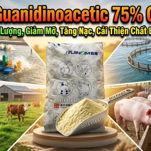 Chất Tạo Nạc Axit Guanidinoacetic 75% ( GAA ) - Hương Liệu Thức Ăn Chăn Nuôi HCM