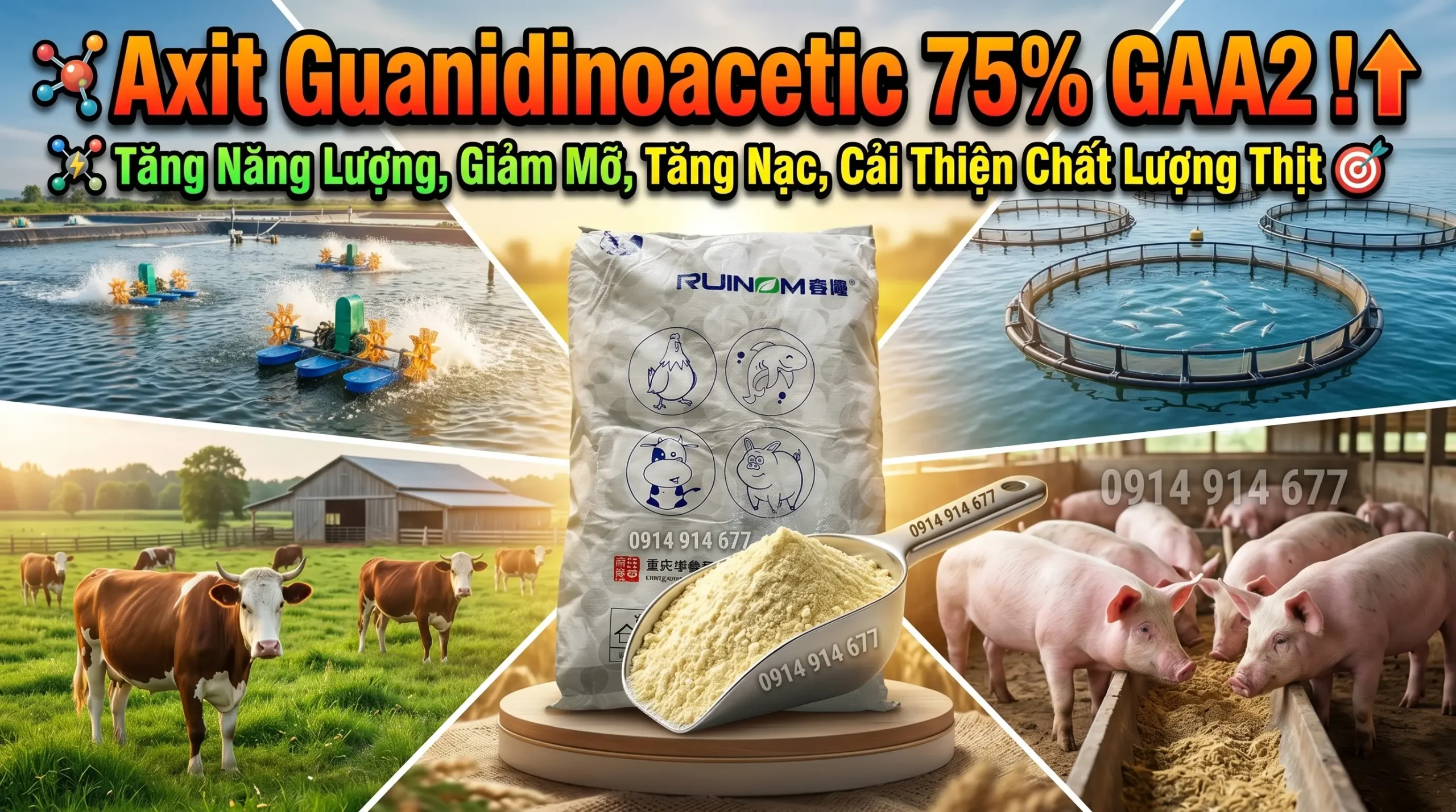 Chất Tạo Nạc Axit Guanidinoacetic 75% ( GAA )