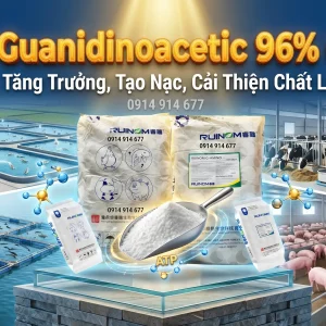 Chất Tạo Nạc Axit Guanidinoacetic 96% ( GAA ) - Hương Liệu Thức Ăn Chăn Nuôi HCM