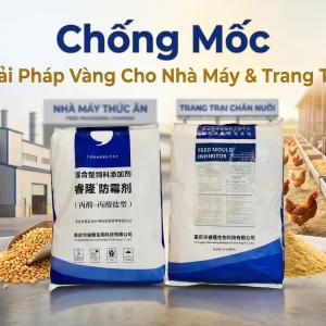 Chất Chống Mốc Trong Thức Ăn Chăn Nuôi | 0914 914 677
