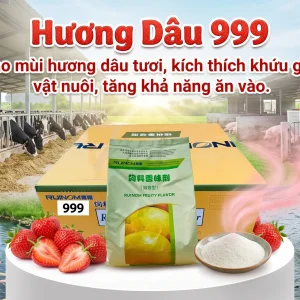 Hương Dâu 999 - Hương Liệu Thức Ăn Chăn Nuôi HCM