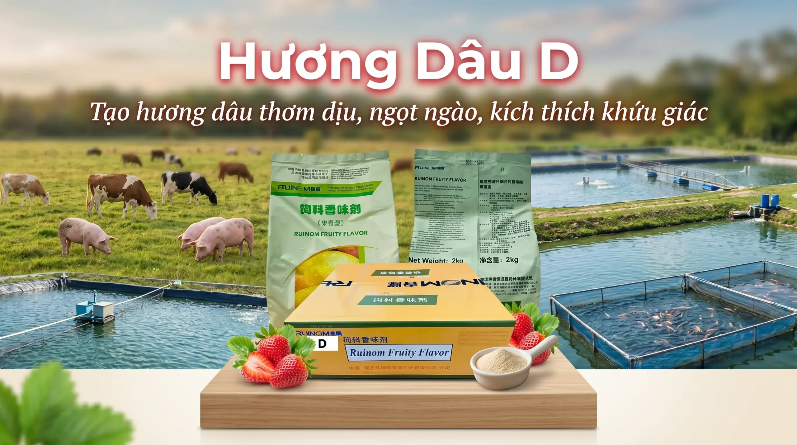 Hương Dâu D