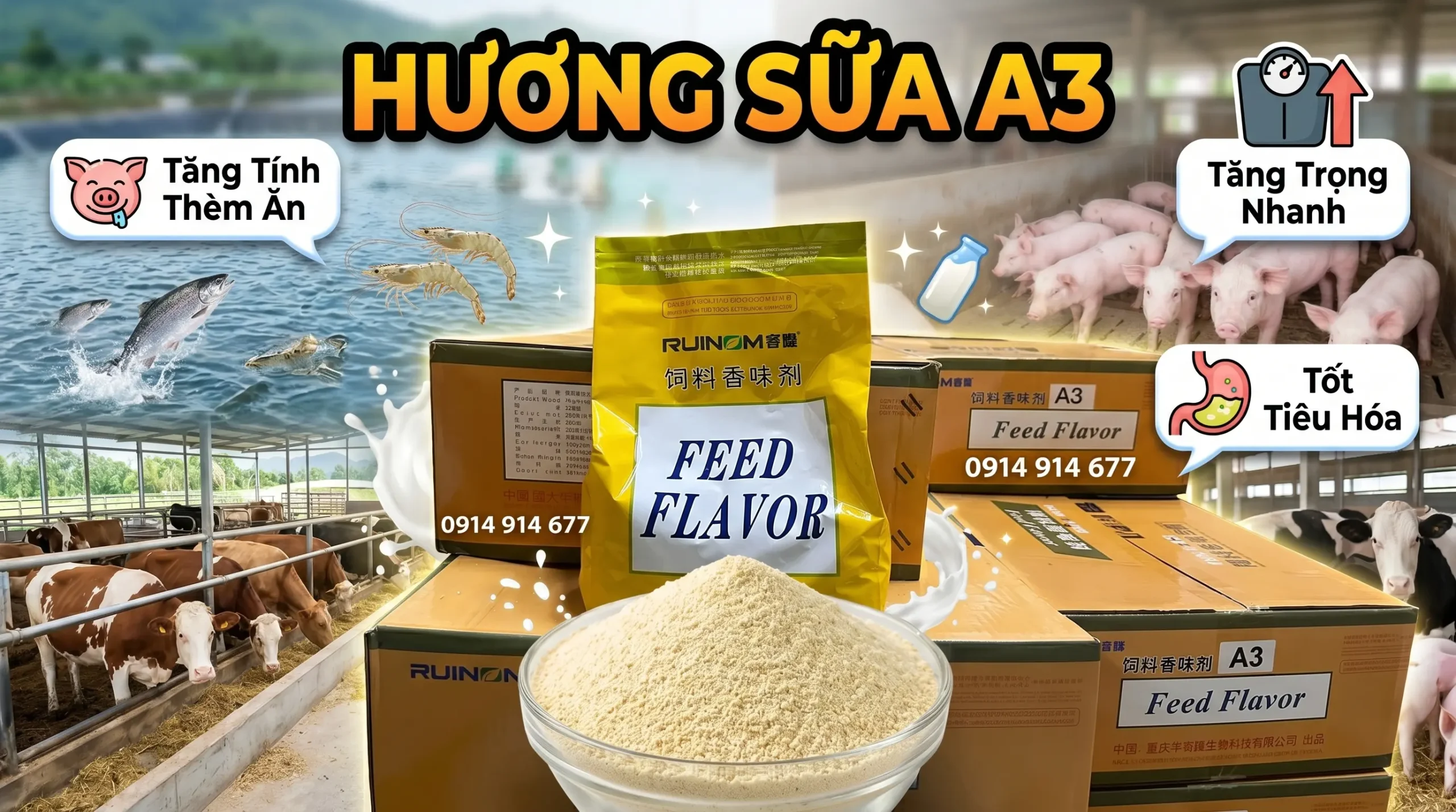 Hương Sữa A3