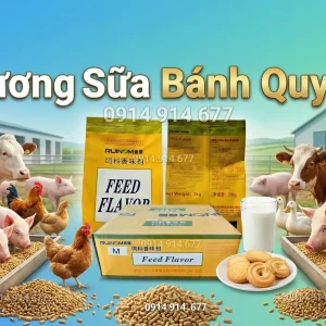 Hương Sữa Bánh Quy M