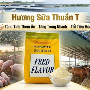 Hương Sữa Thuần T - Hương Liệu Thức Ăn Chăn Nuôi HCM