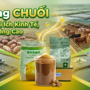 Hương Chuối- Hương Liệu Thức Ăn Chăn Nuôi HCM