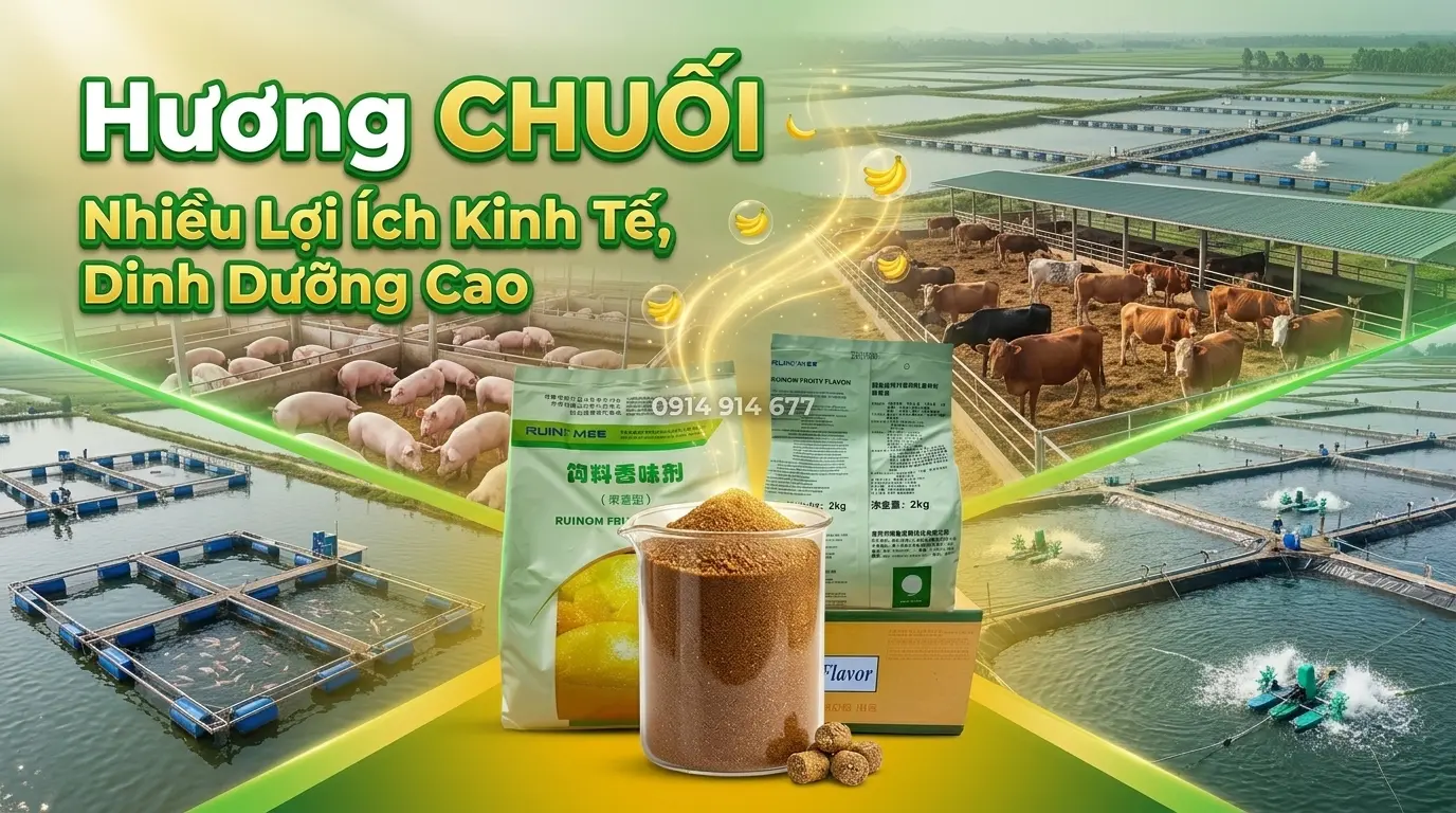 Hương Chuối