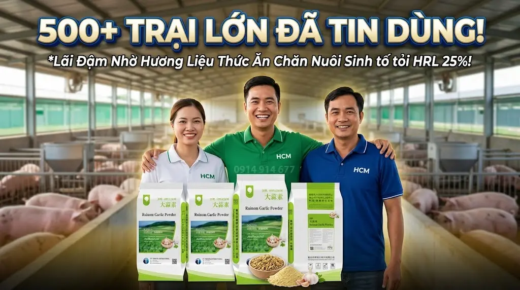 Sinh Tố Tỏi trong chăn nuôi