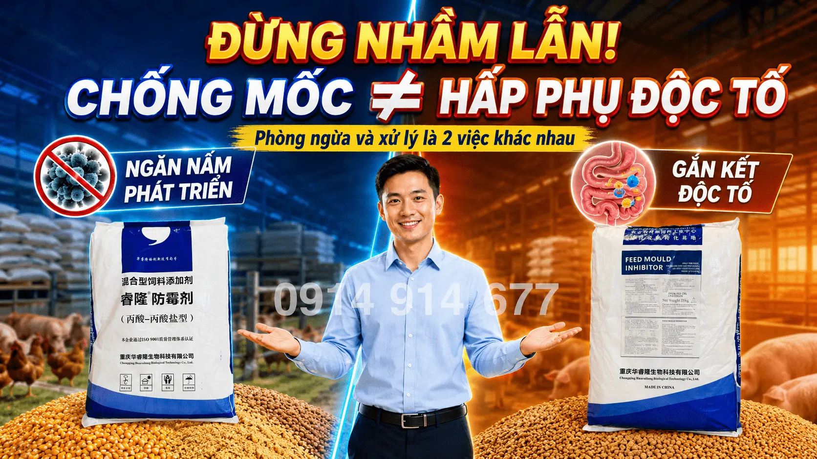 Chất chống mốc trong thức ăn chăn nuôi là gì?