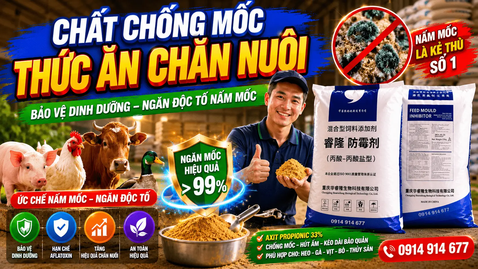 Chống Mốc
