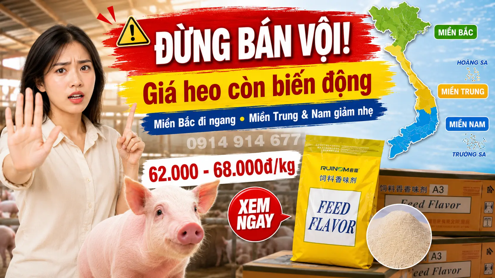 Câu hỏi thường gặp về thị trường heo hơi hôm nay