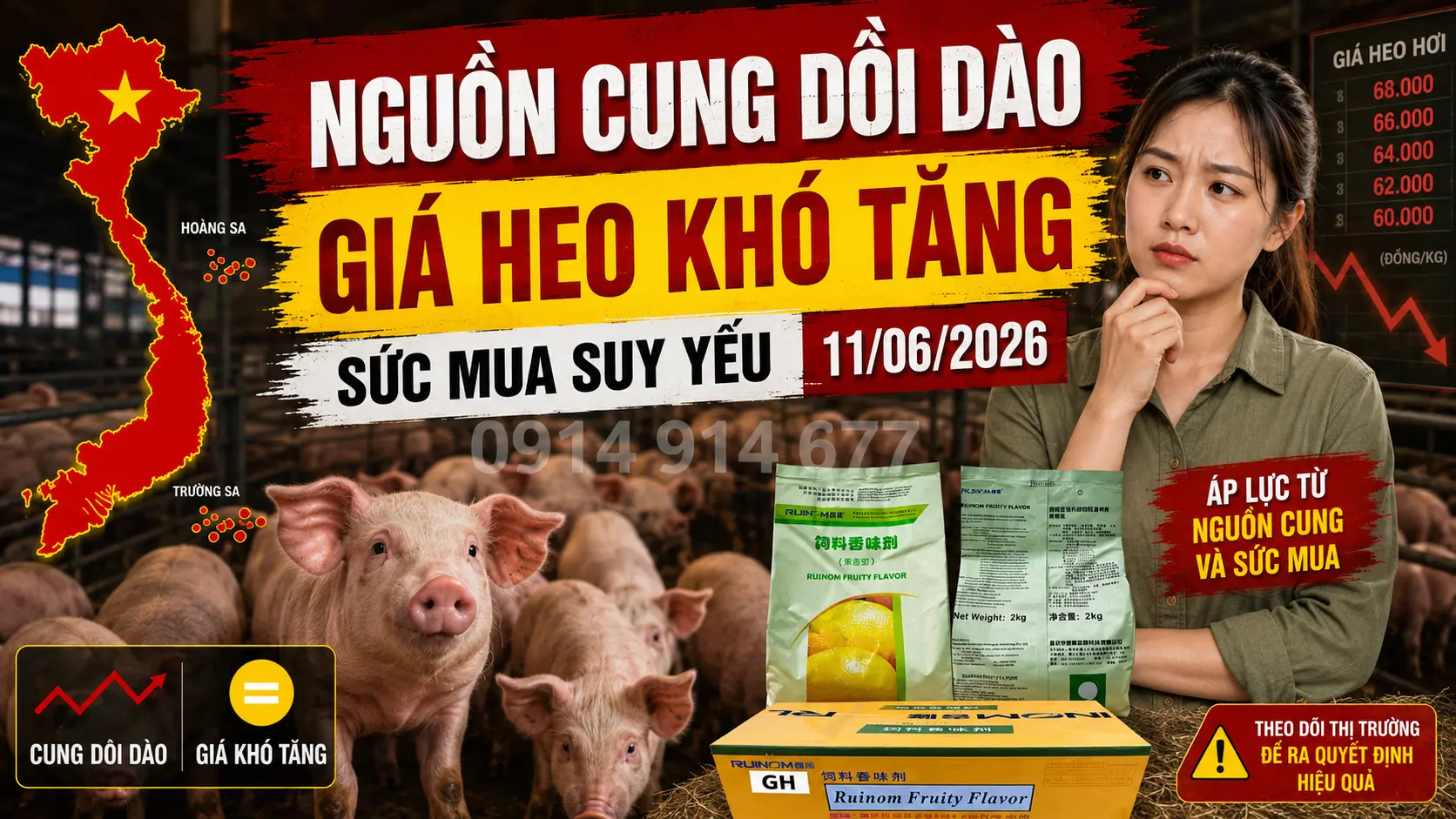 Giá heo hơi hôm nay (11/06/2026)