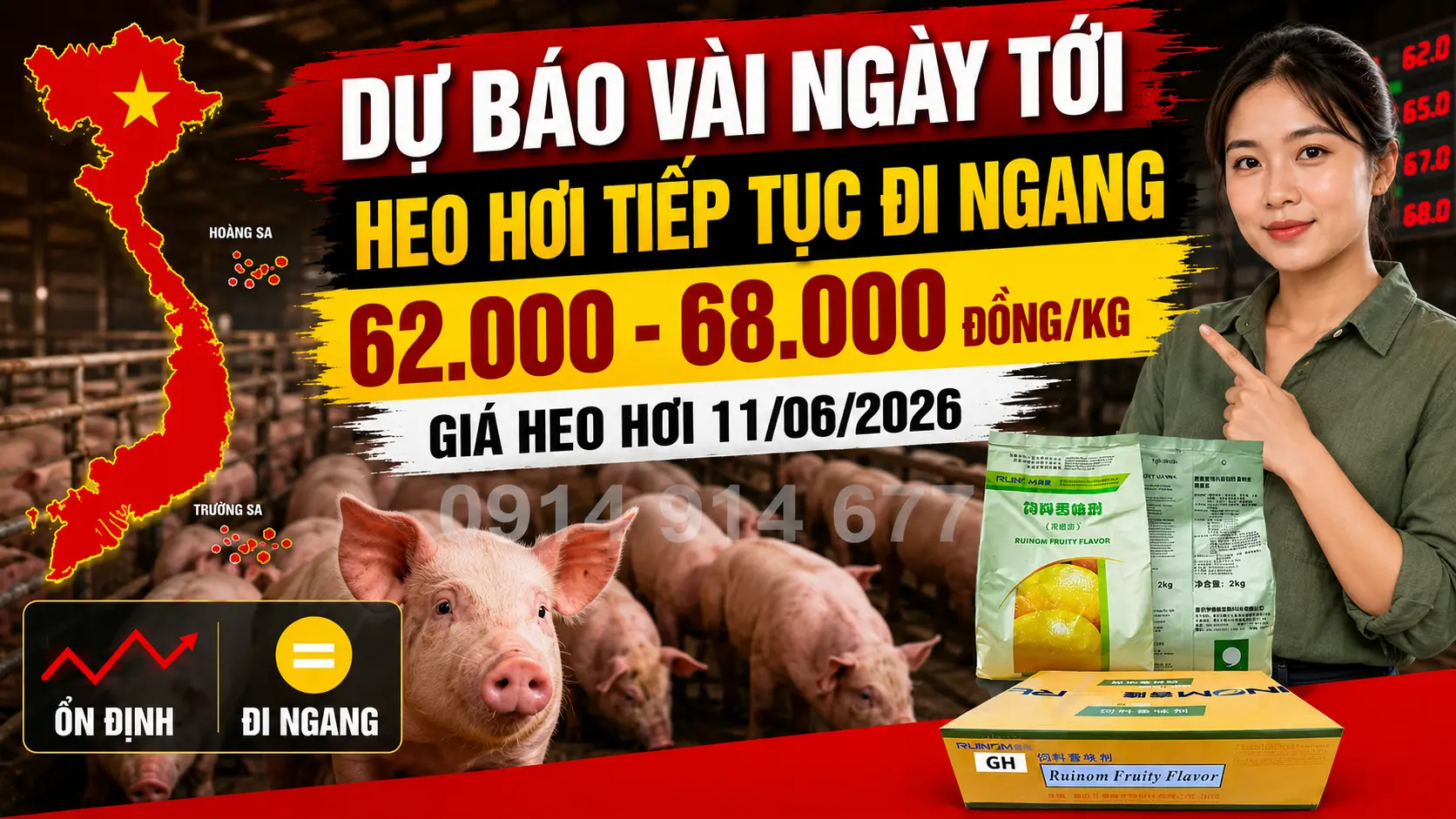 Phân tích xu hướng và nguyên nhân biến động thị trường
