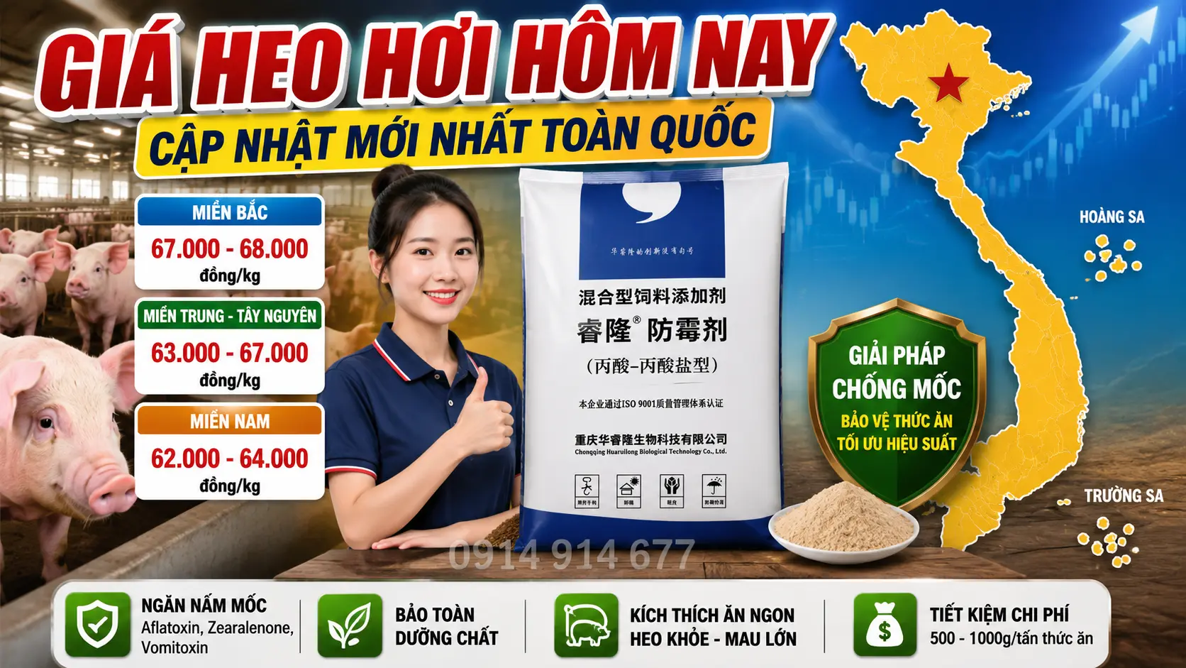 Giá Heo Hơi Hôm Nay 12/06/2026: Duy Trì Mức Thu Mua Cao