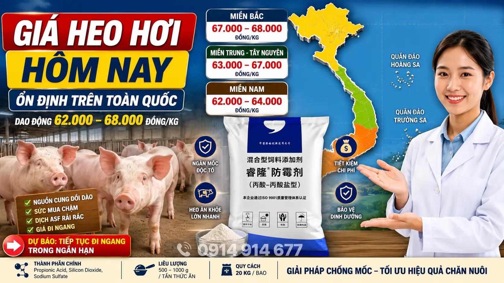 Phân tích xu hướng và nguyên nhân biến động thị trường giá heo hơi hôm nay