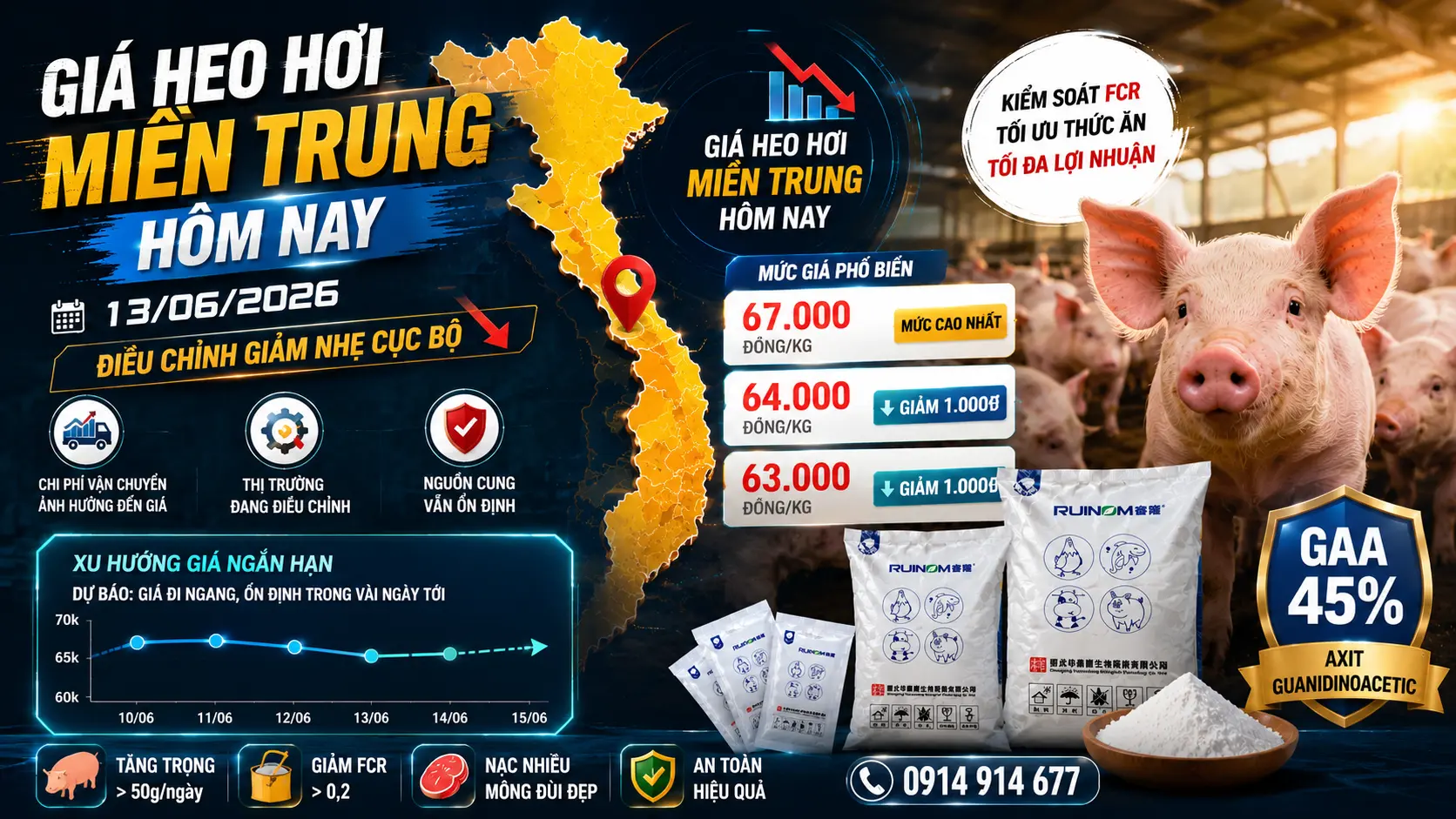 Giá Heo Hơi Miền Trung - Tây Nguyên
