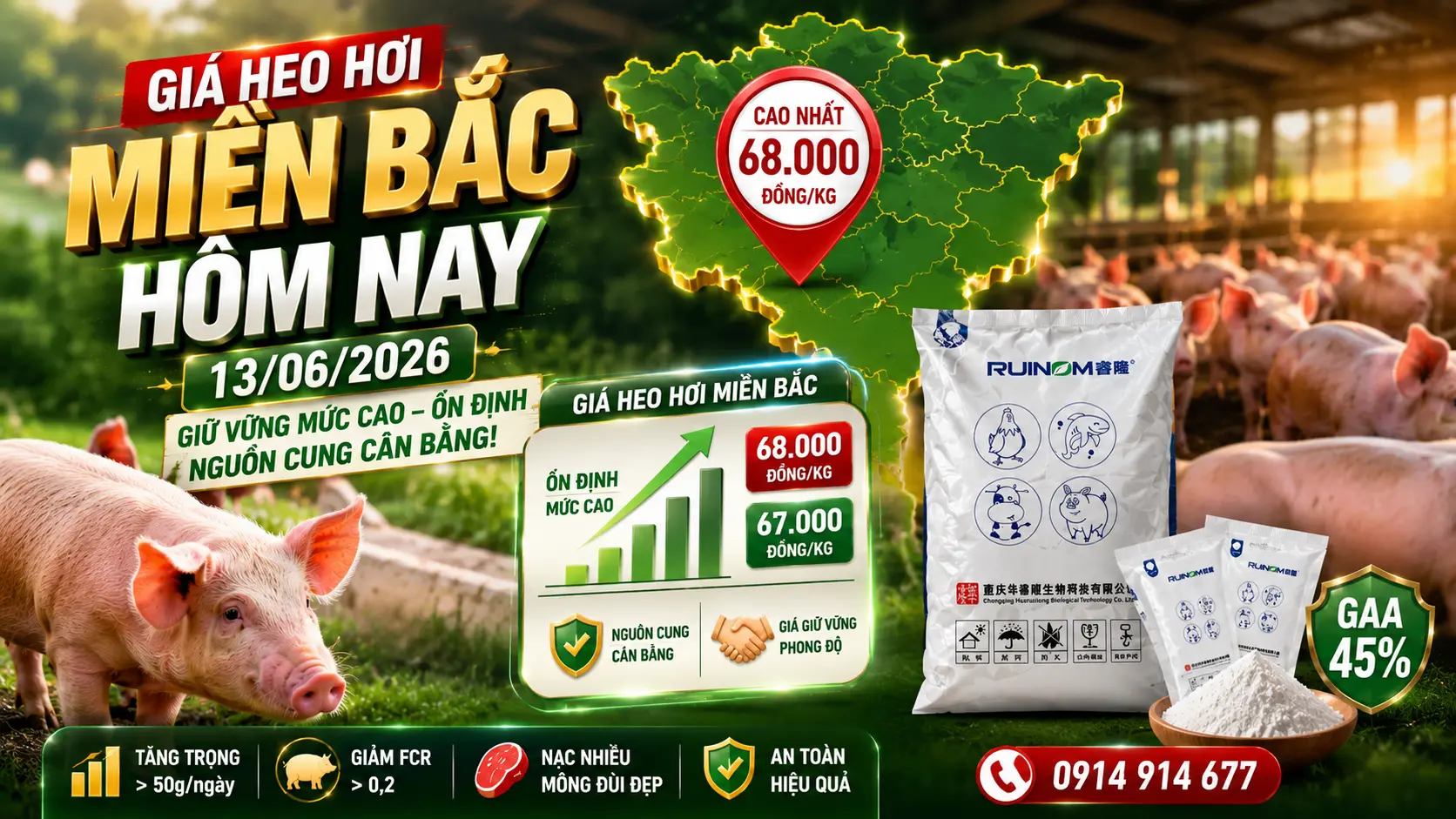 Giá Heo Hơi Miền Bắc Hôm Nay