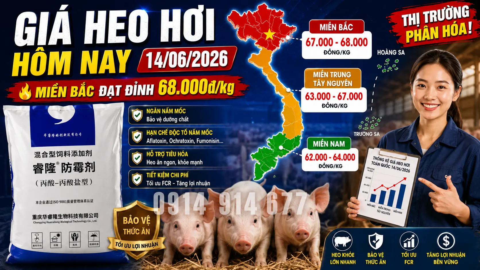 Giá Heo Hơi Hôm Nay 14/6/2026: Biến Động 3 Miền Cực Căng