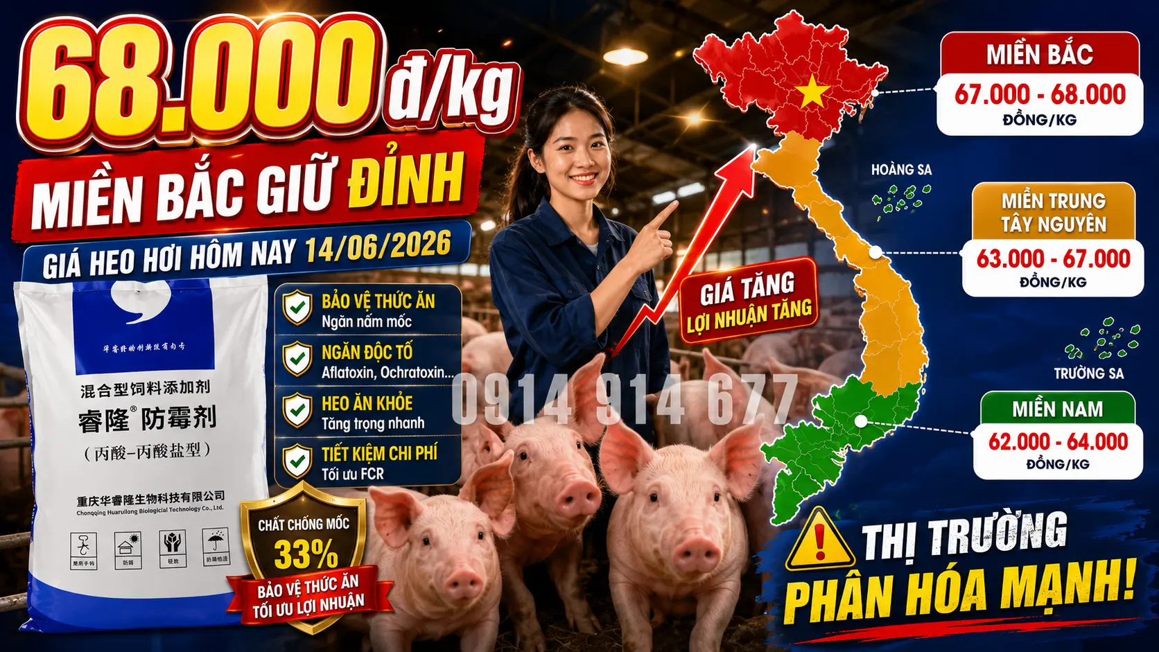 Giá heo hơi hôm nay tại miền Bắc