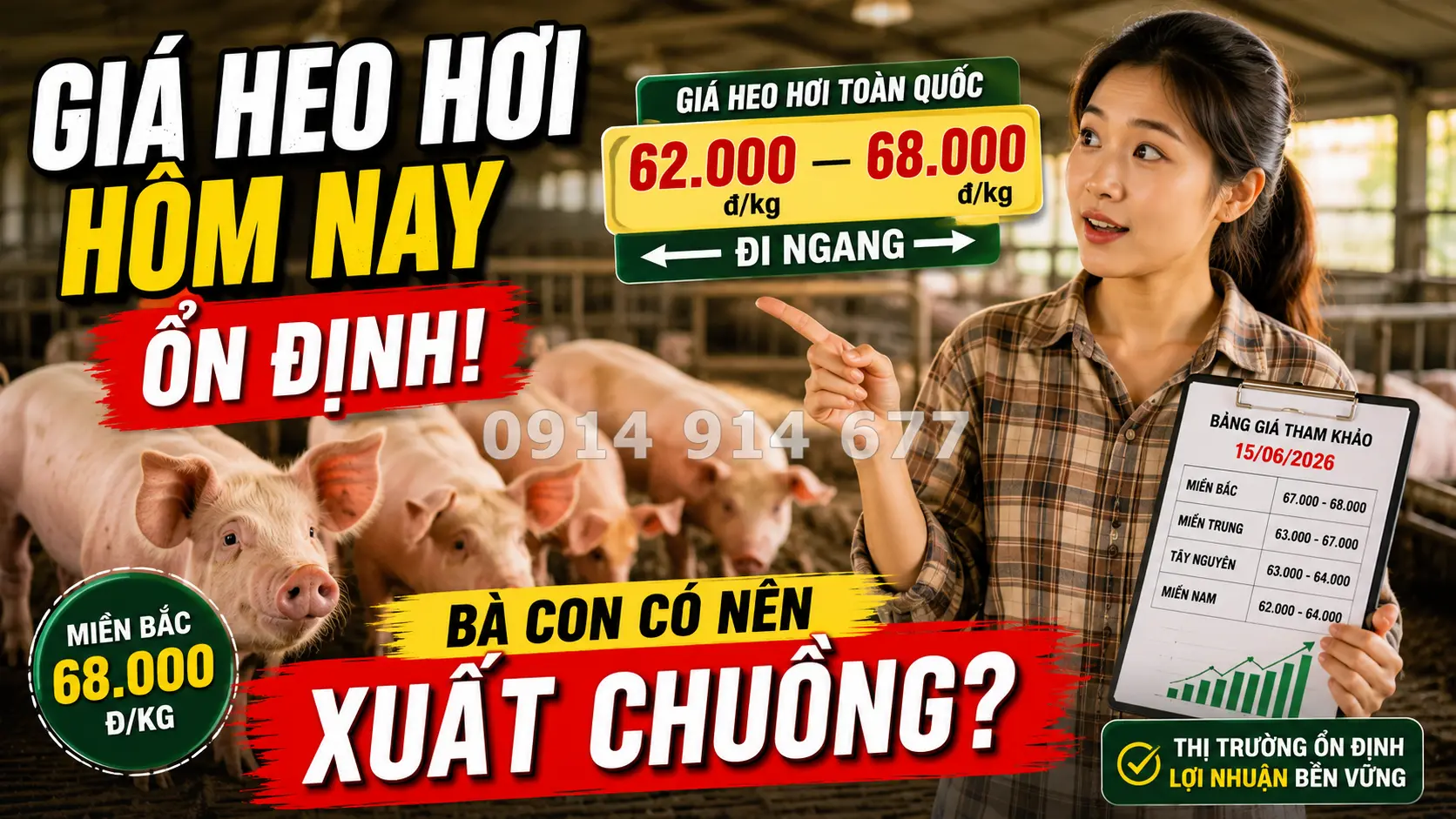 Giá Heo Hơi Hôm Nay 15/6/2026: Mới Nhất Hoà Vốn