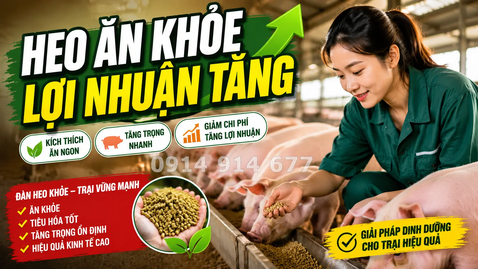 Phân tích xu hướng và nguyên nhân biến động thị trường