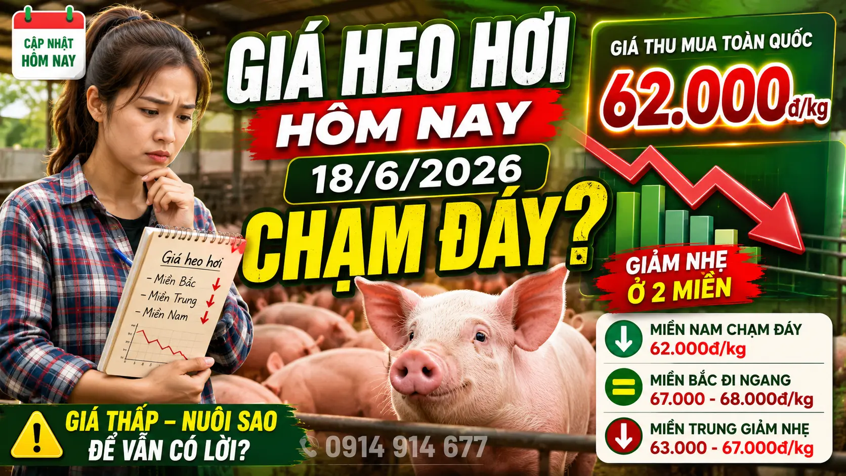 Giá Heo Hơi Hôm Nay 18/6/2026: Chi Tiết Giá Heo 3 Miền