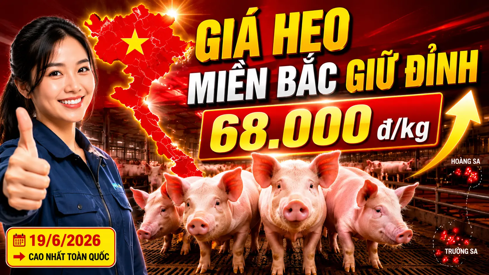 Giá Heo Hơi Hôm Nay 19/6/2026 tại Miền Bắc