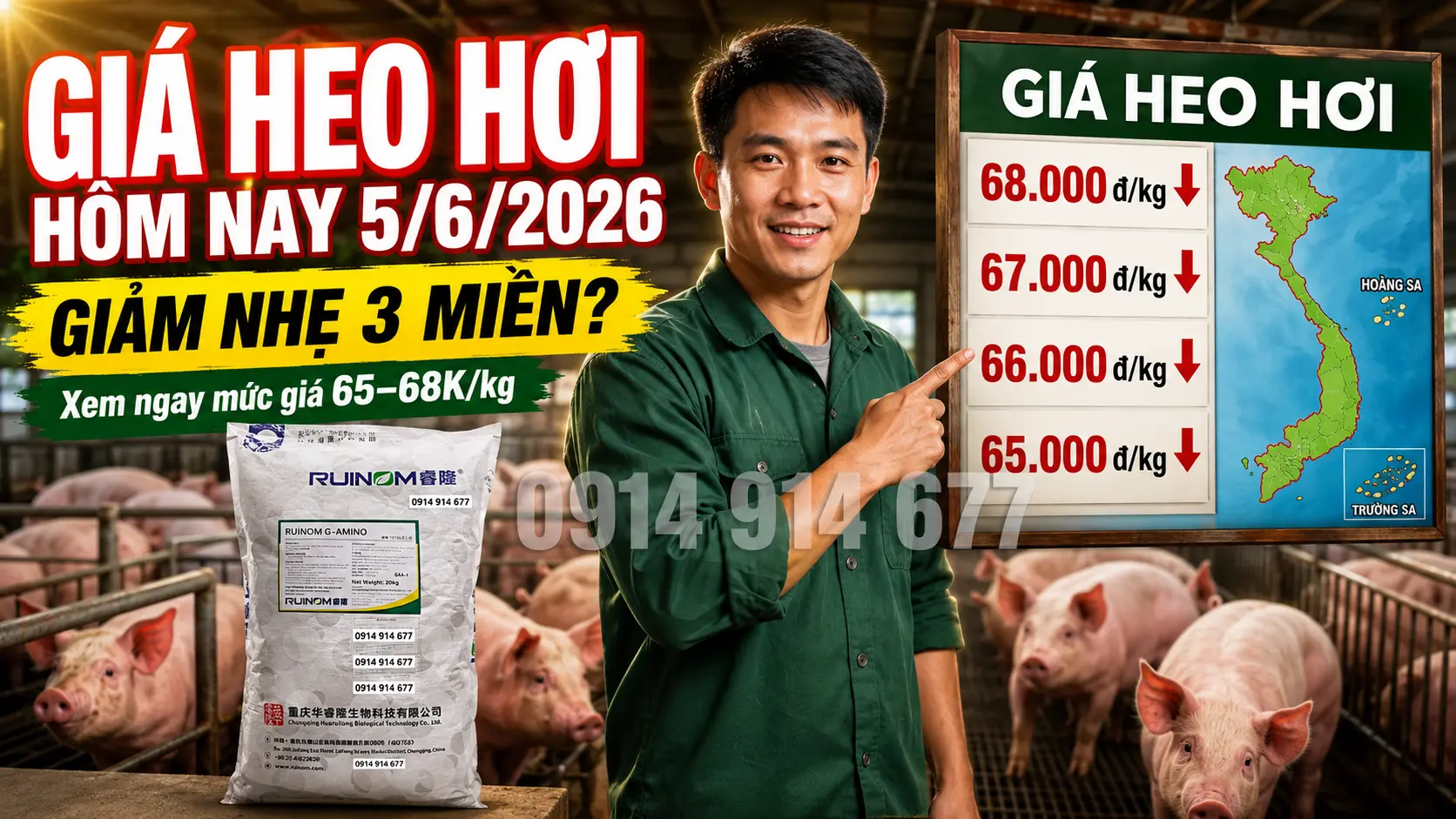 Bí Ẩn Giá Heo Hơi Hôm Nay 5/6/2026: Đảo Chiều Tăng Mạnh