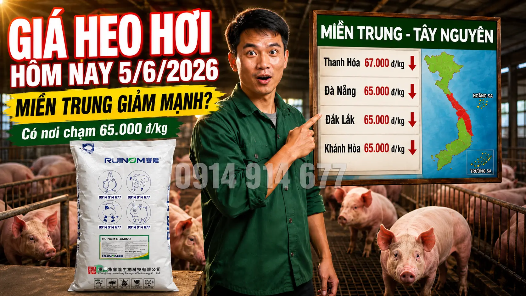 Biến Động Giá Heo Hơi Miền Trung - Tây Nguyên