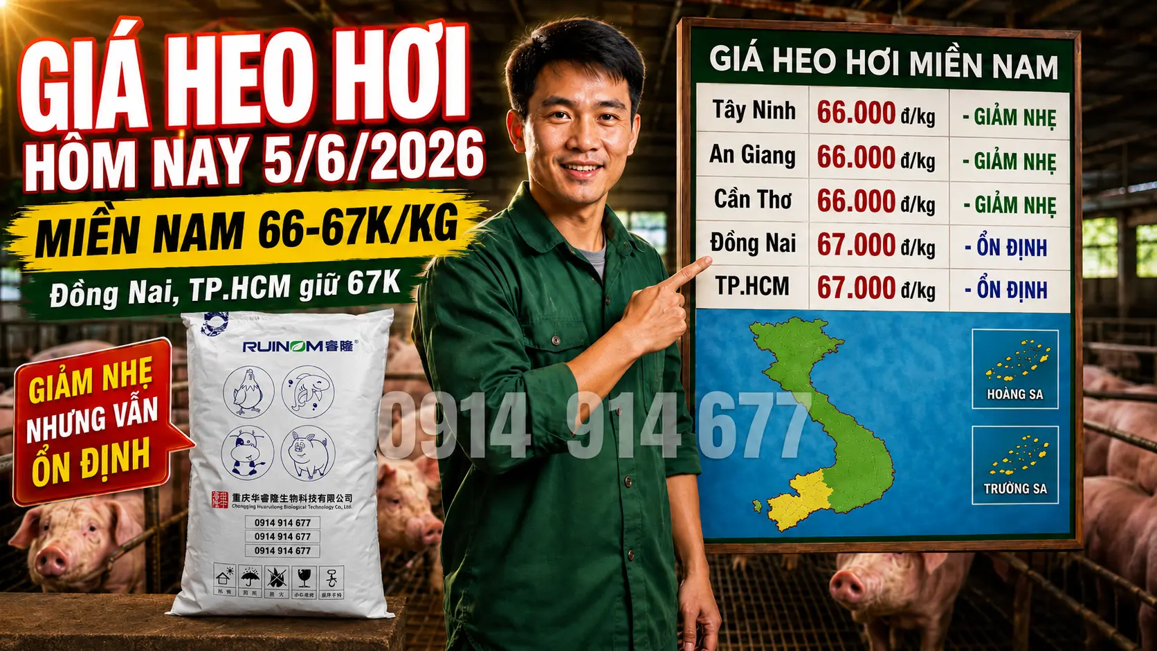 Giá Heo Hơi Hôm Nay Tại Miền Nam