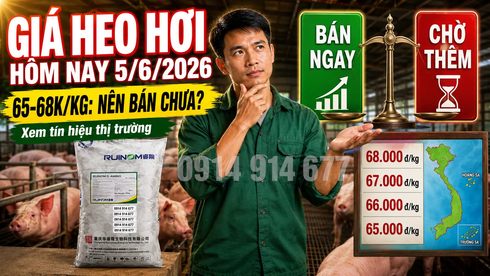 Nhận Định & Dự Báo Giá Heo Hơi Ngày Mai
