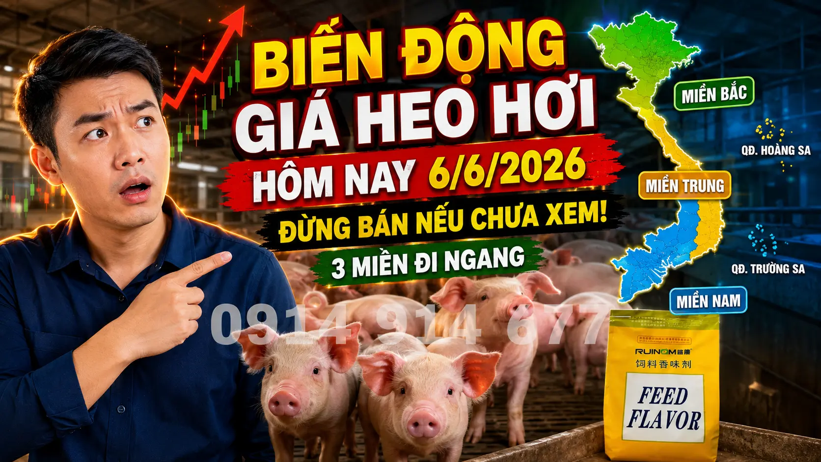 Biến Động Giá Heo Hơi Hôm Nay 6/6/2026 Đừng Bán Nếu Chưa Xem