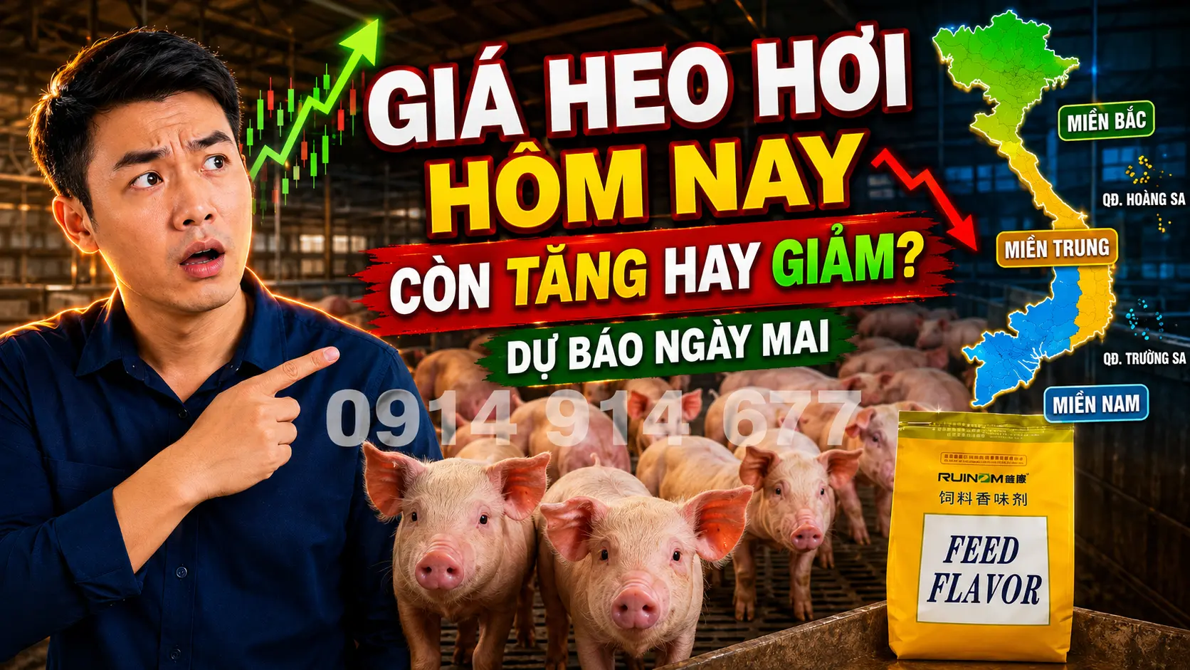 Tổng Quan Bức Tranh Thị Trường Heo Hơi Toàn Quốc