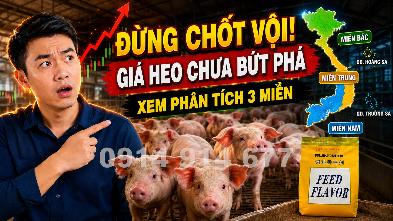 Giá Heo Hơi Miền Trung - Tây Nguyên: Ổn Định Nhịp Độ