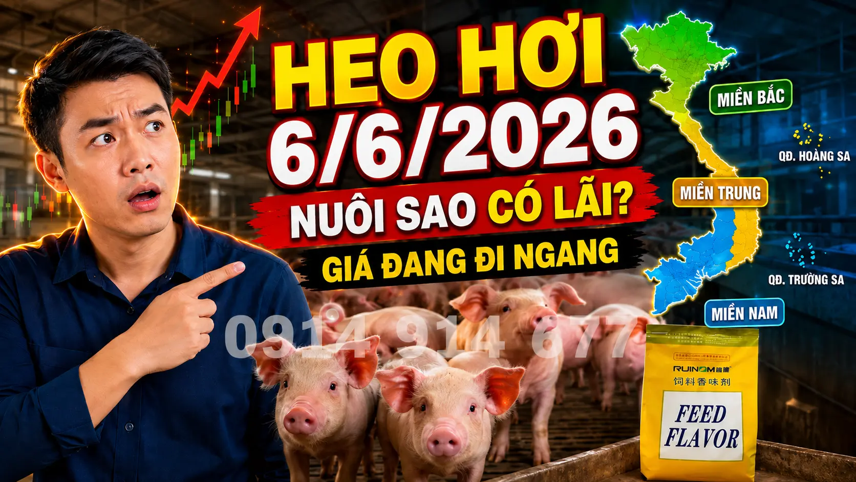 Giá Heo Hơi Hôm Nay Tại Miền Nam: Đi Ngang Đón Chờ Biến Động
