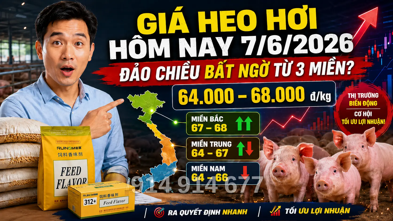Giá Heo Hơi Hôm Nay 7/6/2026: Đảo Chiều Bất Ngờ Từ 3 Miền?