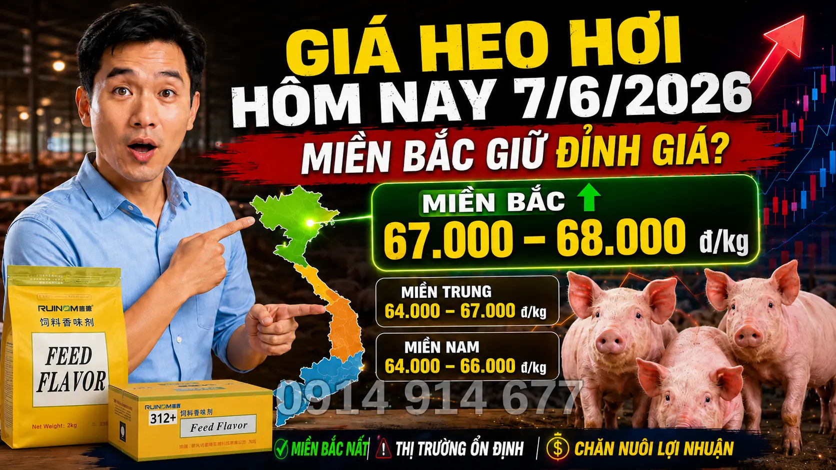 Chi Tiết Giá Lợn Hơi Hôm Nay Miền Bắc