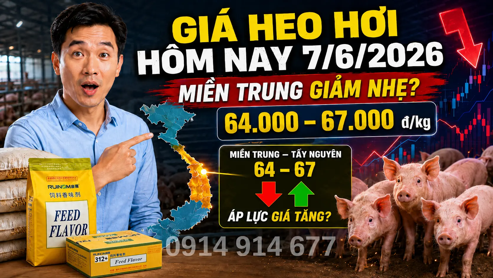 Biến Động Giá Heo Hơi Miền Trung - Tây Nguyên