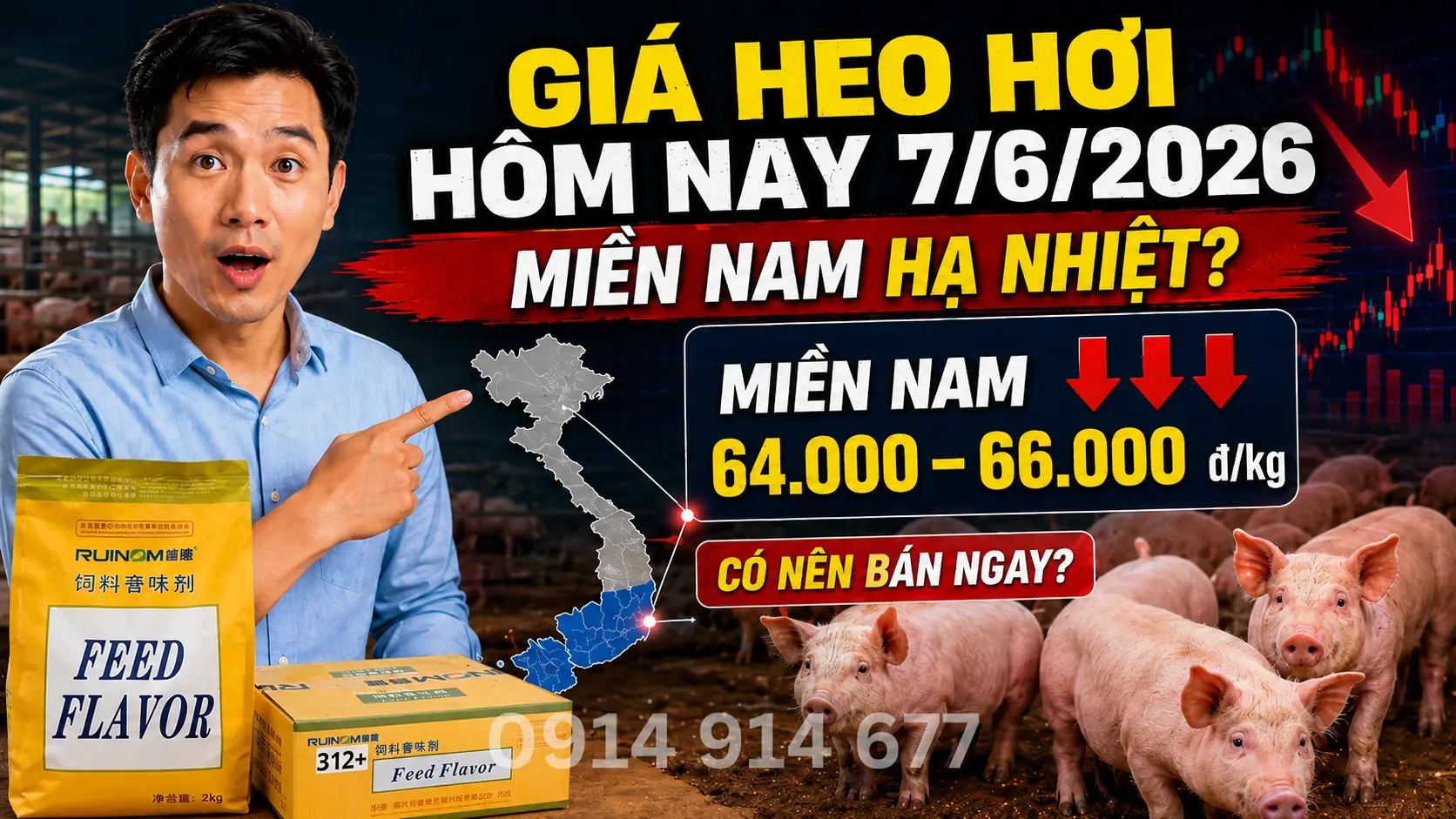 Giá Heo Hơi Hôm Nay Tại Miền Nam
