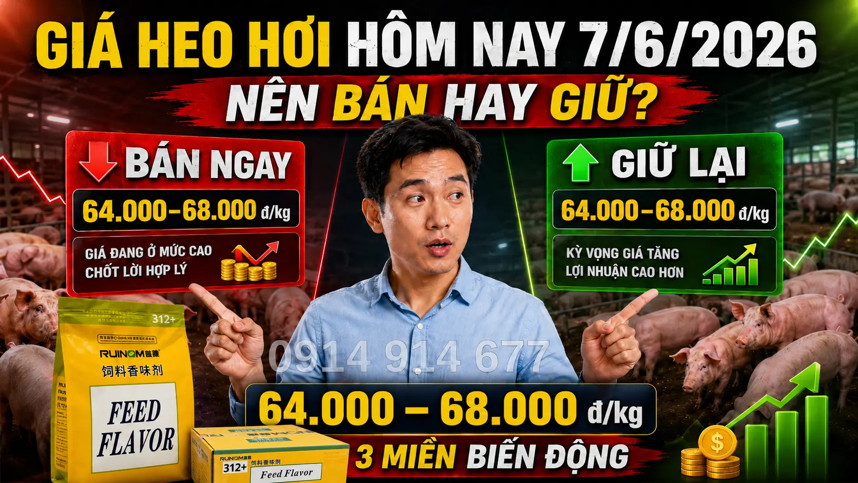 Phân Tích Và Dự Báo Giá Heo Hơi Ngày Mai