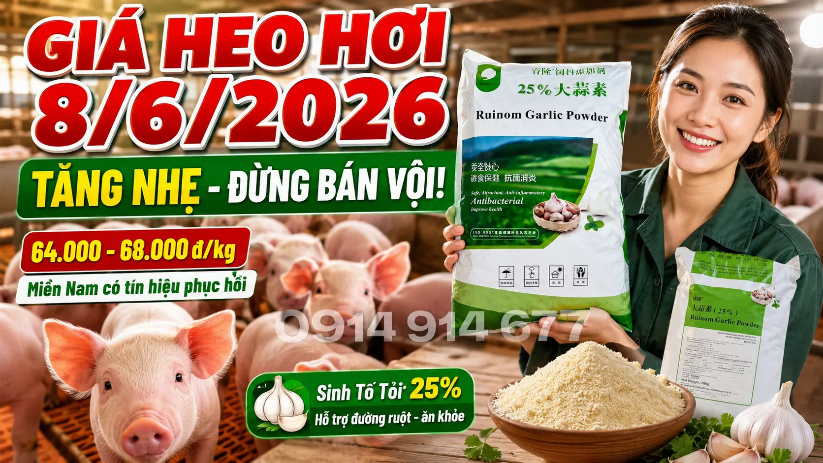 Giá Heo Hơi Hôm Nay 8/6/2026: Miền Bắc Neo Cao, Miền Nam