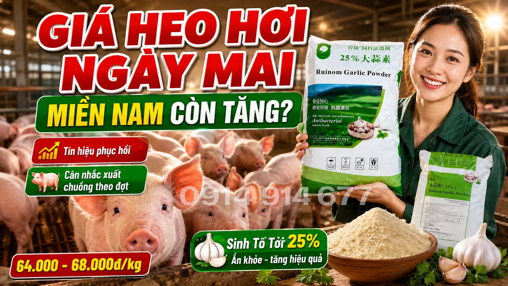 Giá Heo Hơi Hôm Nay Tại Miền Nam
