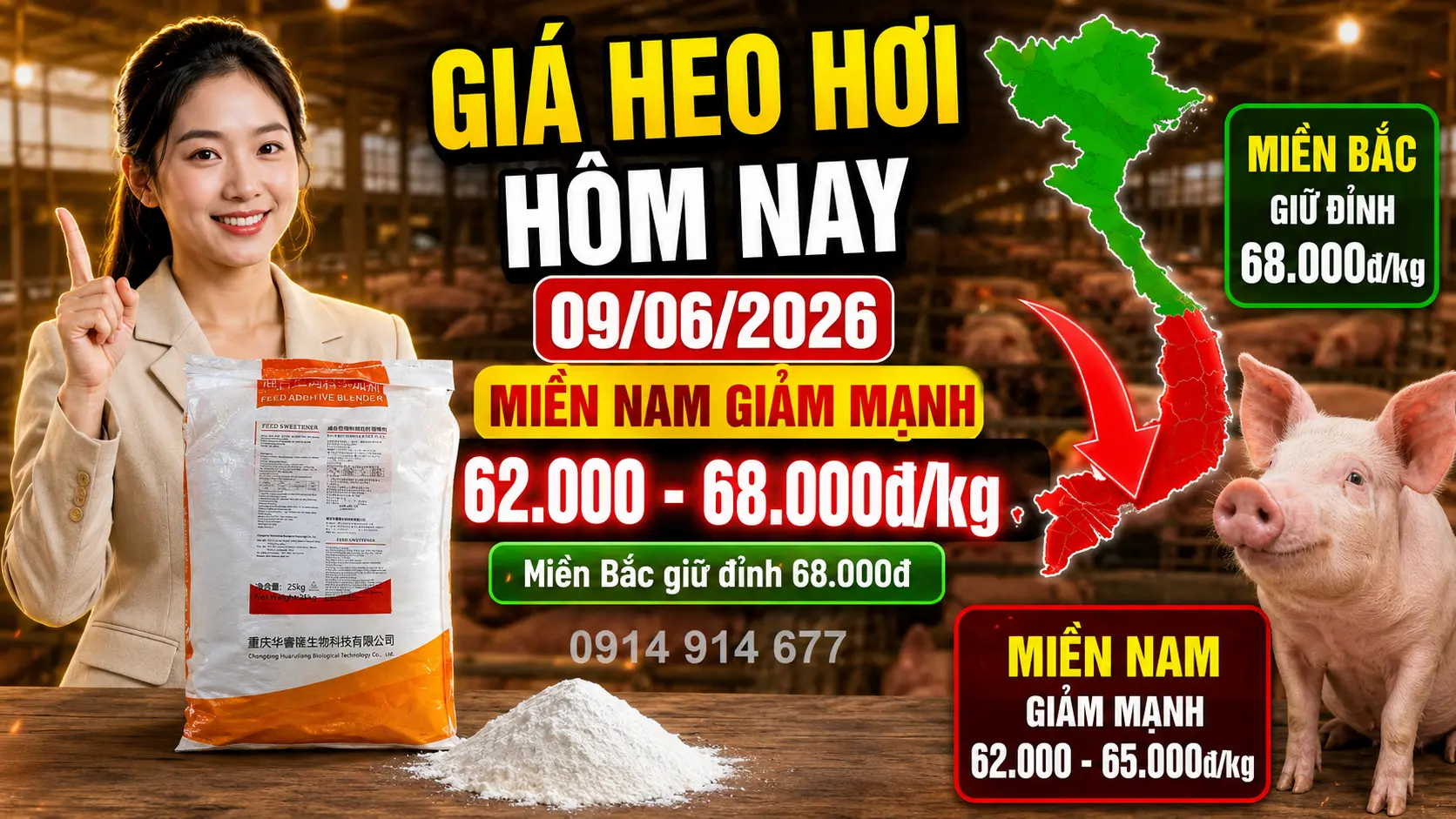Giá Heo Hơi Hôm Nay 9/6/2026: Cảnh Báo Điểm Mù Thị Trường