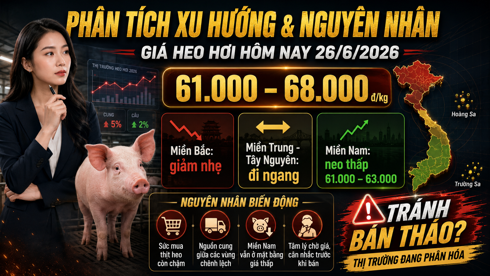 Phân tích xu hướng và nguyên nhân biến động thị trường Giá Heo Hơi Hôm Nay 26/6/2026