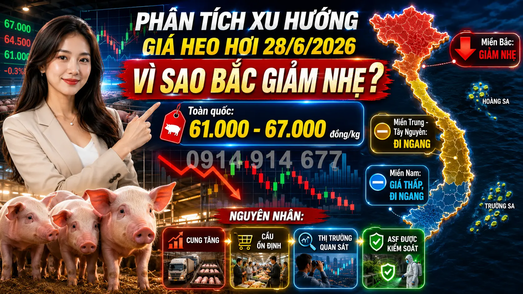 Phân tích xu hướng và nguyên nhân biến động thị trường Giá Heo Hơi Hôm Nay 28/6/2026
