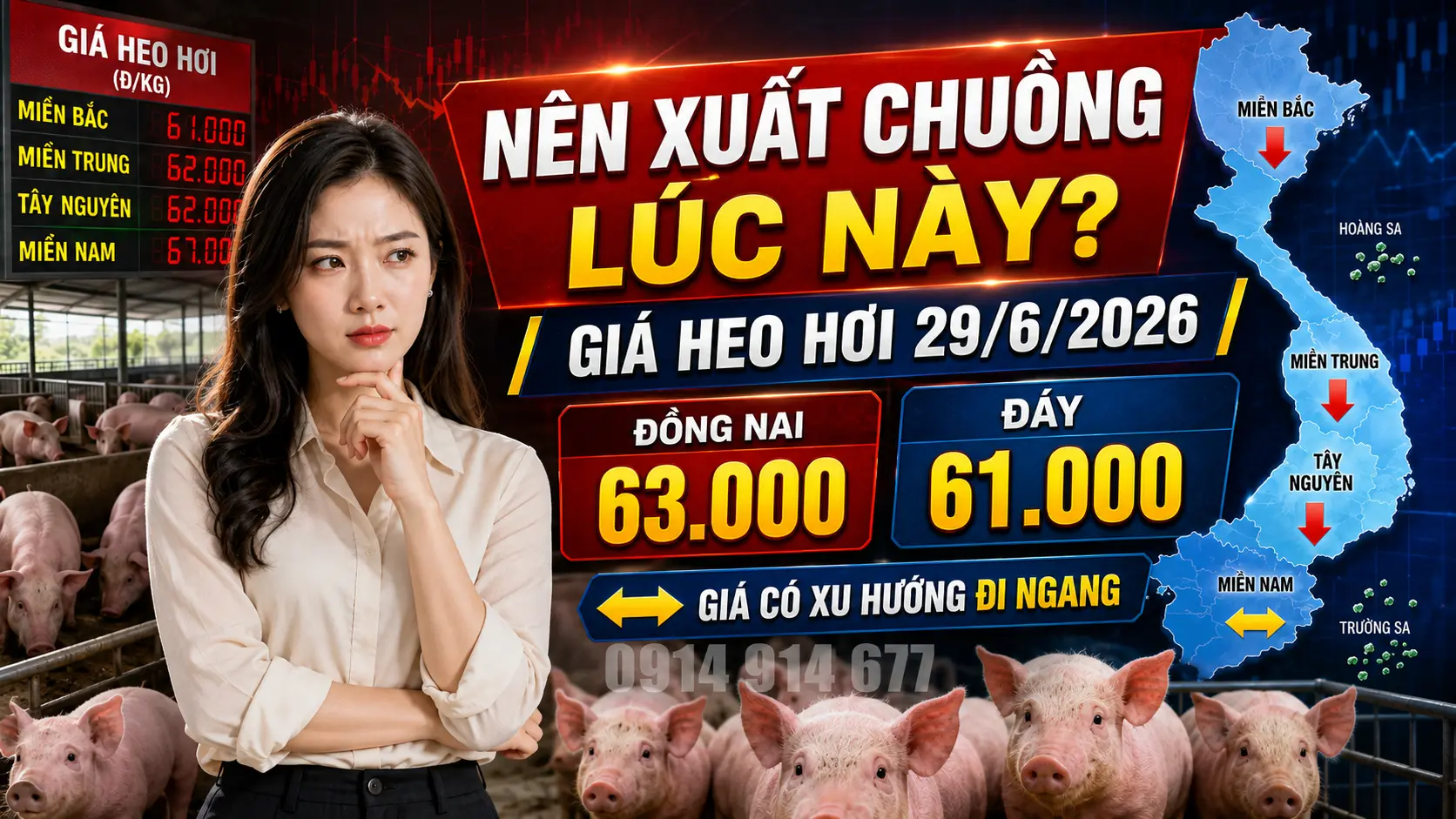 Phân tích xu hướng và nguyên nhân biến động thị trường Giá Heo Hơi Hôm Nay 29/6/2026